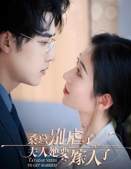 长夜将明 热播电视剧全集